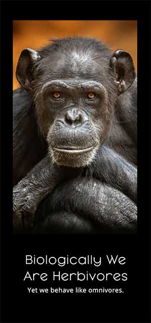 Ecoshe-Quiz-App-Herbivores